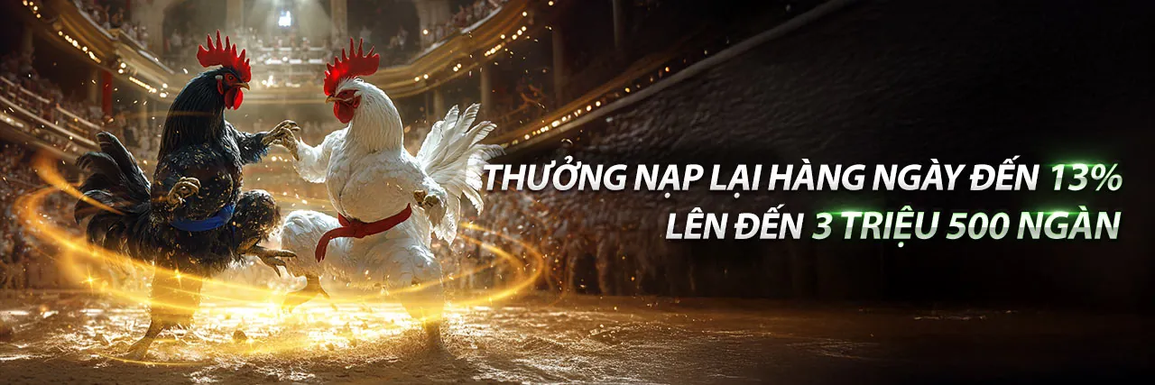 Sân vận động cá cược trực tuyến 22vip